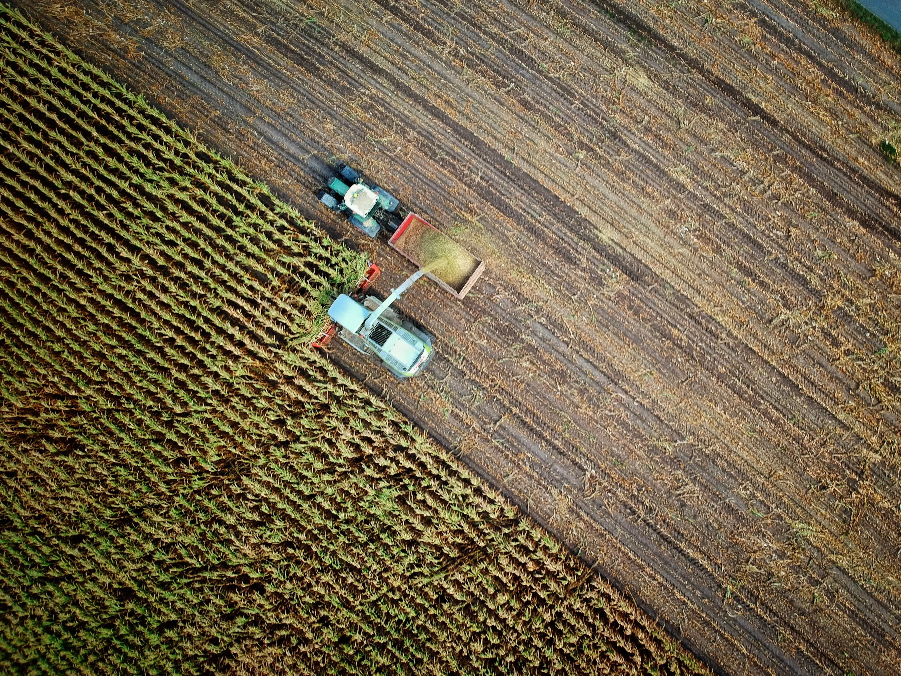 Sistema solar aislado en zona agrícola
